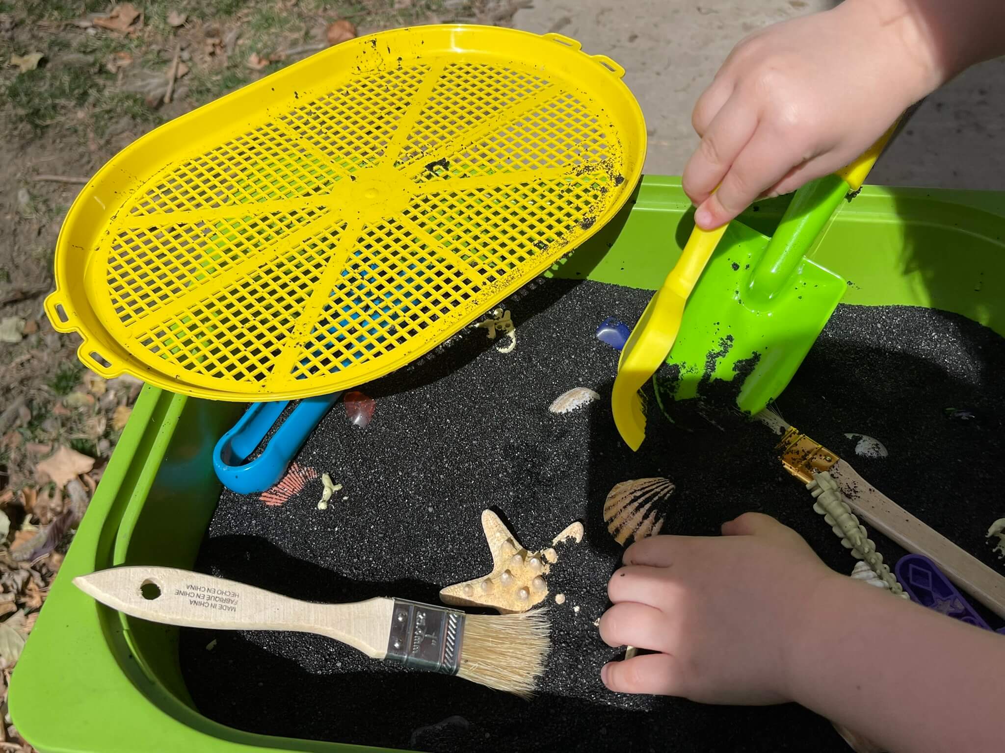 Rock, Fossil, Seashell Sensory Bin