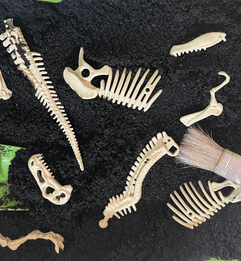 Play fossils for sensory bin