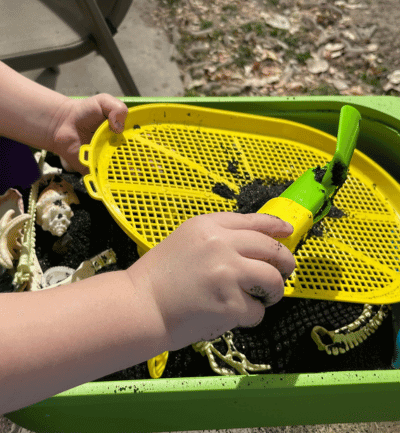 Sifting through a fossil, rock, and seashell sensory bin.