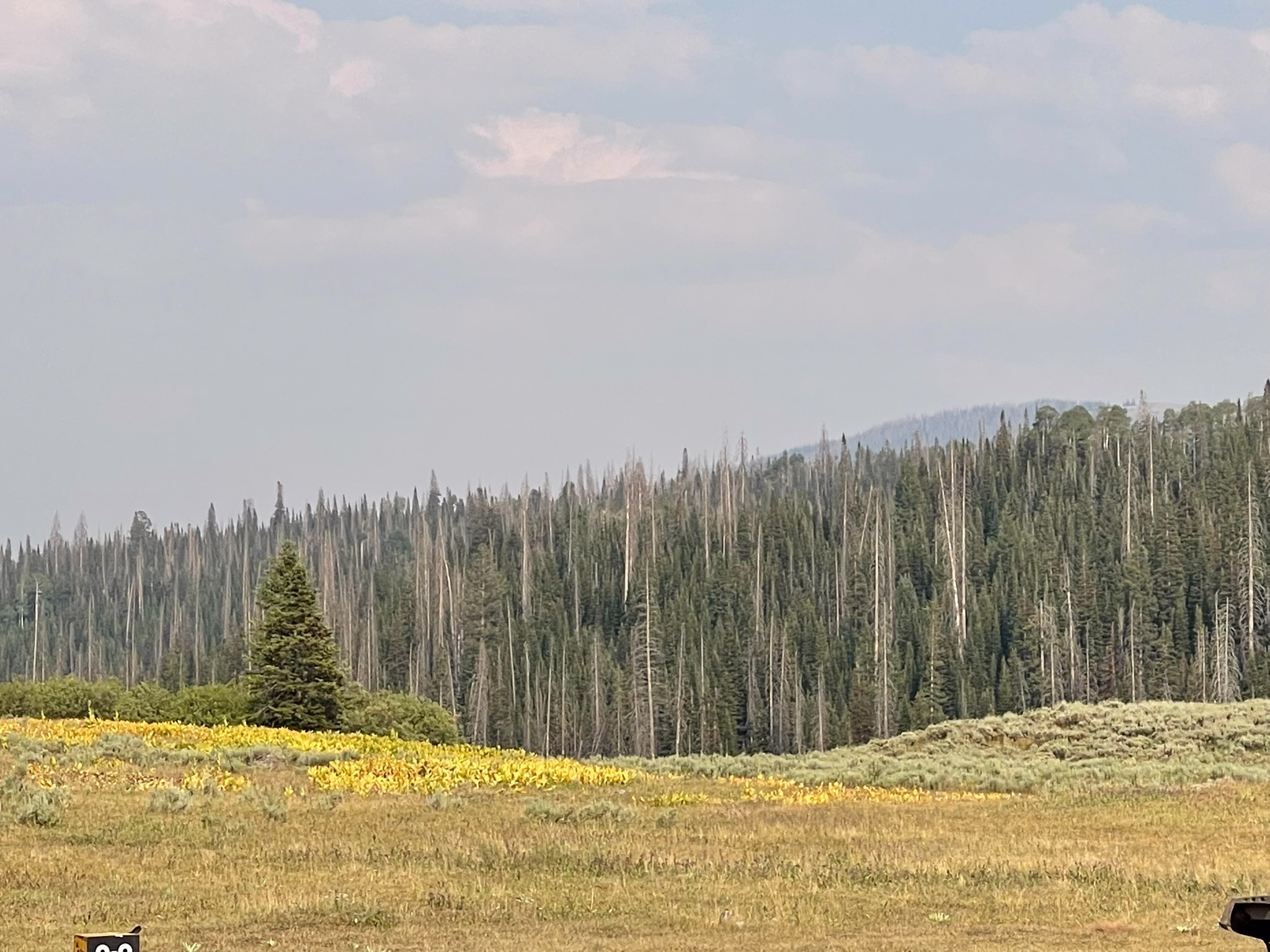 Uintas Camping in the Uintas