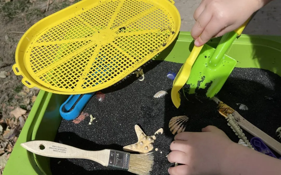 Discover & Sort Sensory Bin: Is It A Fossil? Is It A Rock? Is It A Seashell?