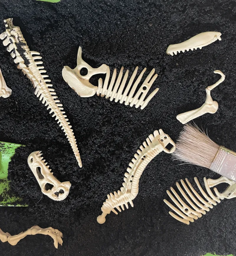 Fossils for Sensory Bin Play fossils for sensory bin