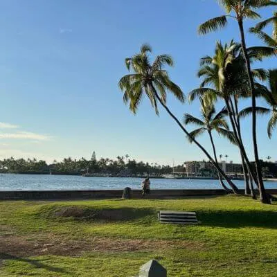 Untitled Design 19 1