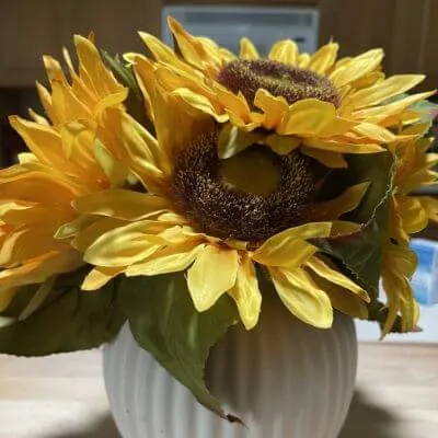 Untitled Design 28 1