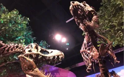 Unearthing Wonder: A Guide to Exploring Utah’s Dinosaur Attractions