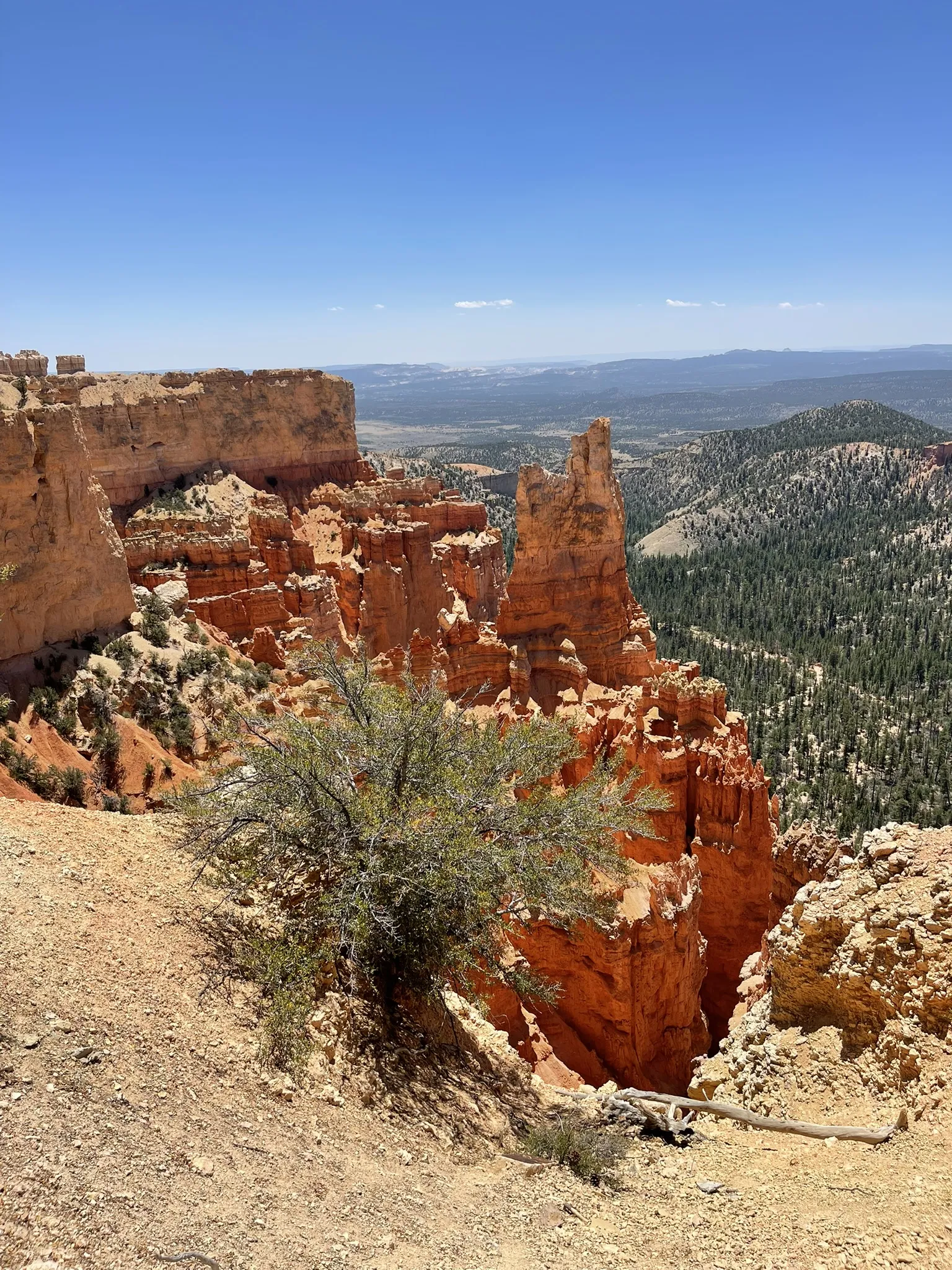 Bryce Canyon Hoodoos Bryce Canyon Hoodoos