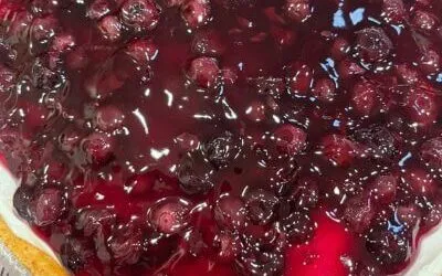 Easy Sour Cream Blueberry Pie